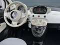 Fiat 500 0.9 TWINAIR COLLEZIONE I PANORAMADAK I CRUISE CONT Wit - thumbnail 7