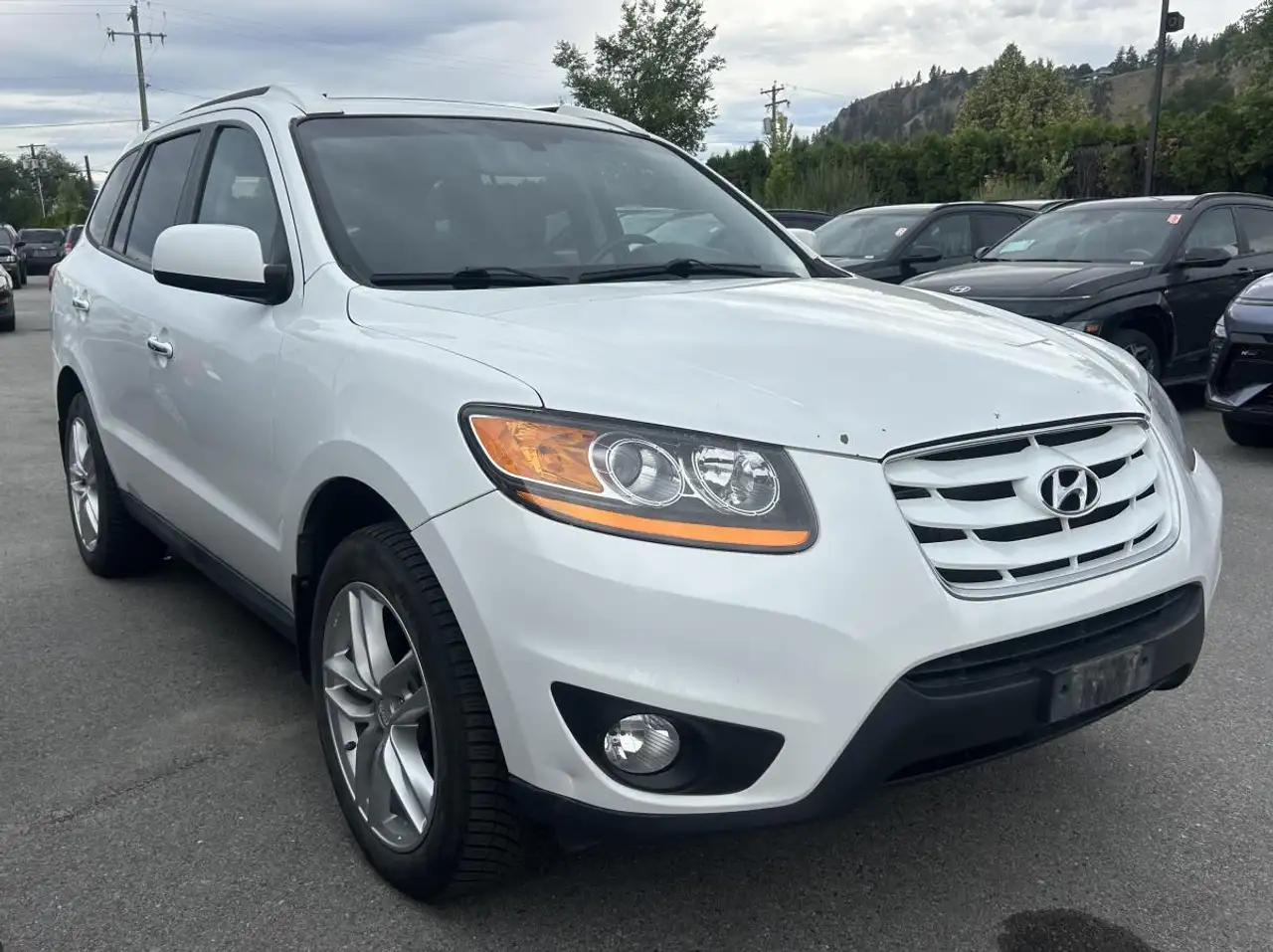 2010 Hyundai SANTA FE