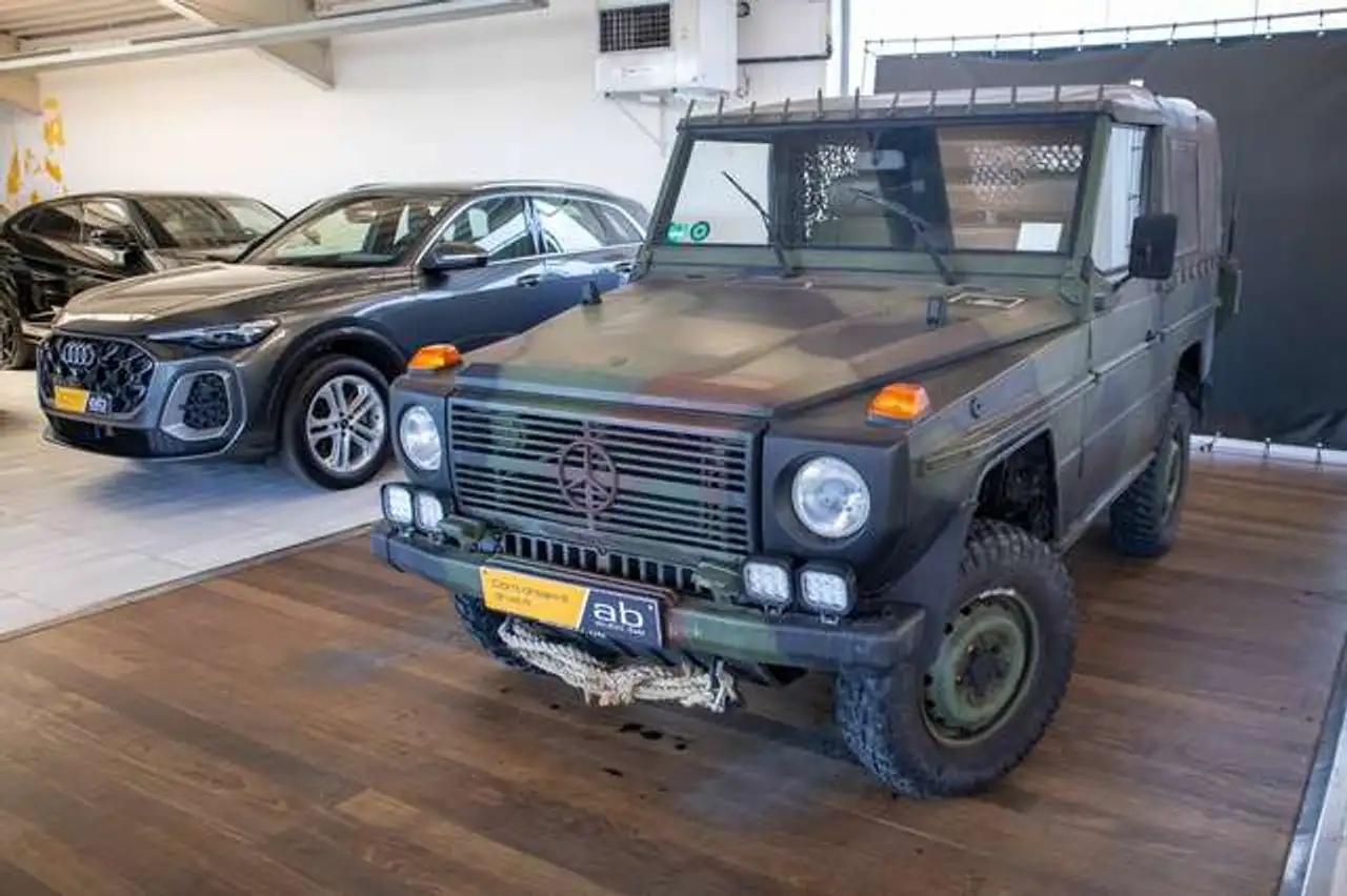Mercedes-Benz G 250 GD Cabriolet 4x4 W461 WOLF, foto 2