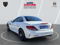 Mercedes-Benz SLC 200 Roadster Automatik AMG Line Blanco - thumbnail 3