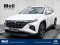 Hyundai TUCSON Prime Mild-Hybrid 2WD 1.6 T-GDI Assist.-Paket Weiß - thumbnail 1