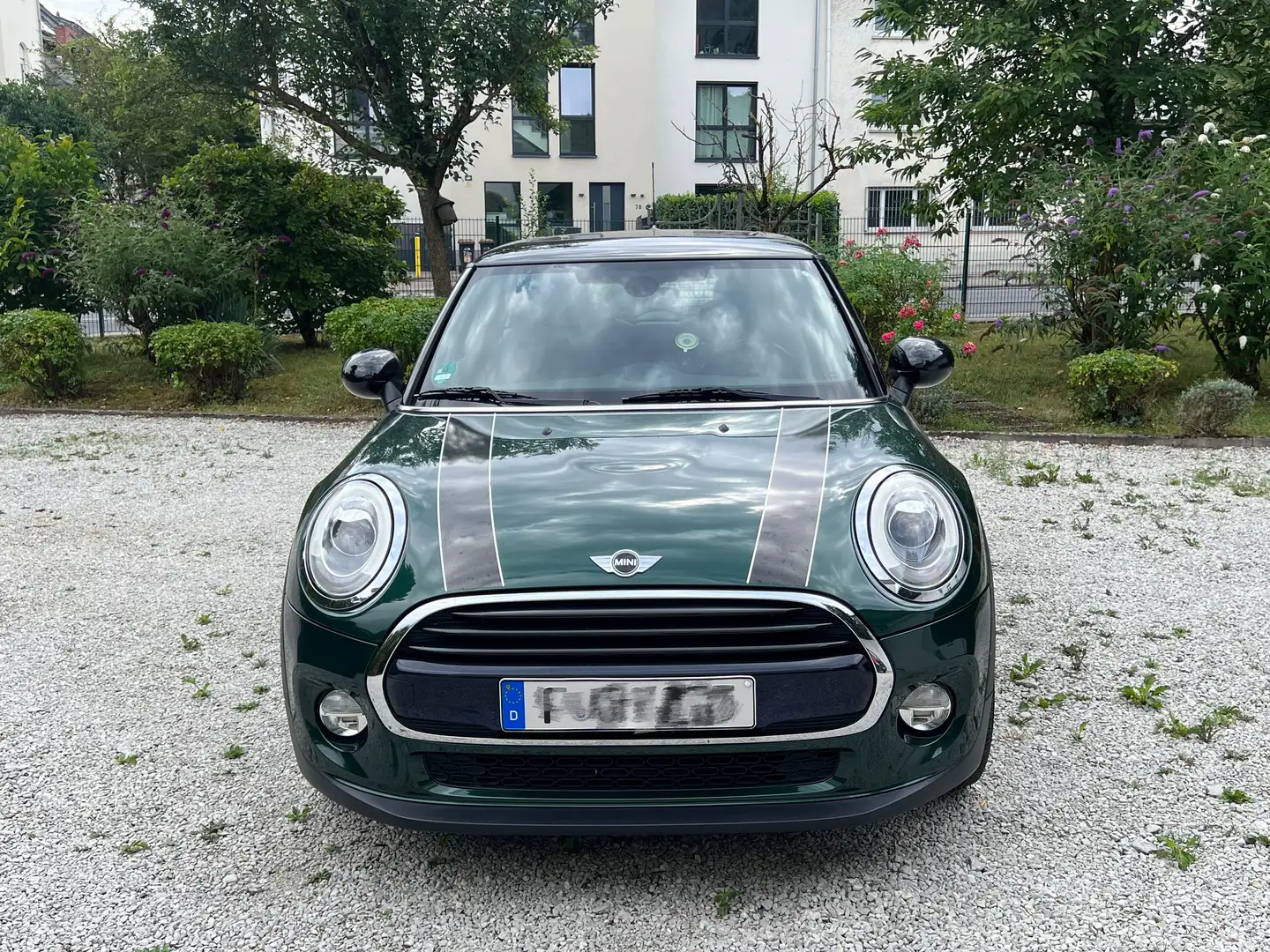 MINI Cooper Mini Cooper Aut.Seven Chili Grün - 1