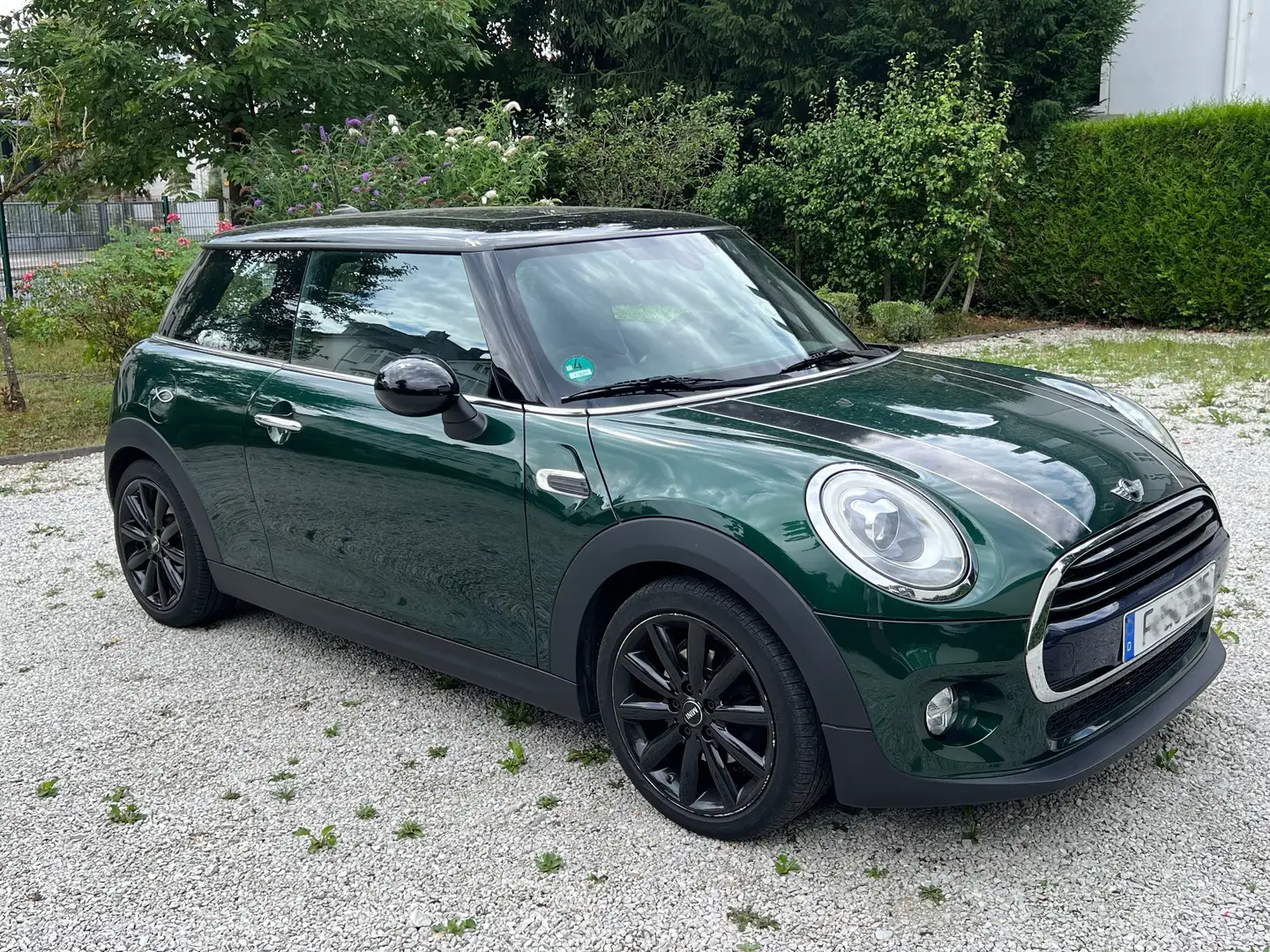 MINI Cooper Mini Cooper Aut.Seven Chili Grün - 2