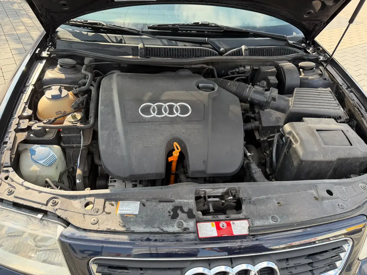 Audi A3 1.6 Attraction, foto 10