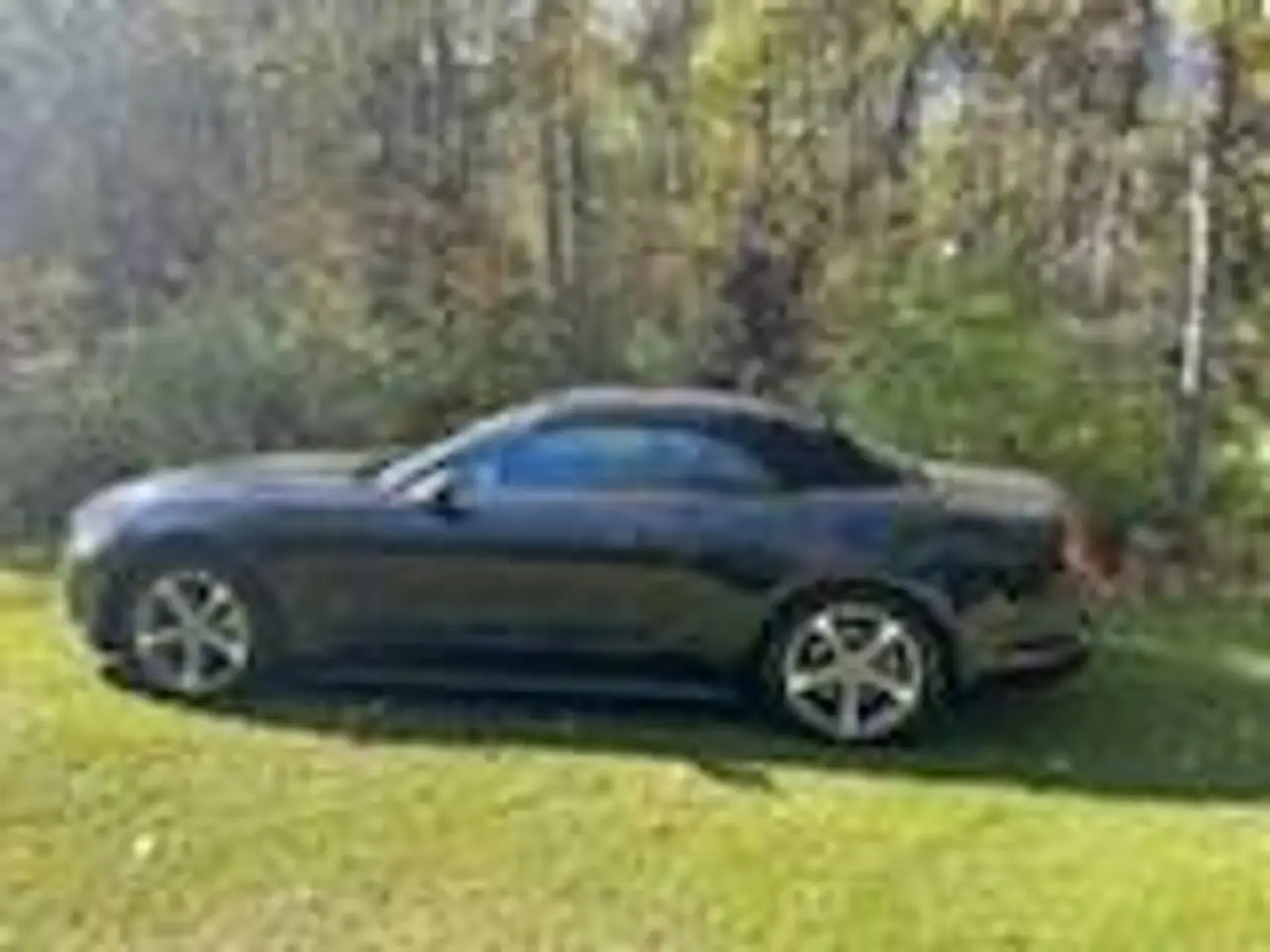 Ford Mustang fotografie Ford Mustang