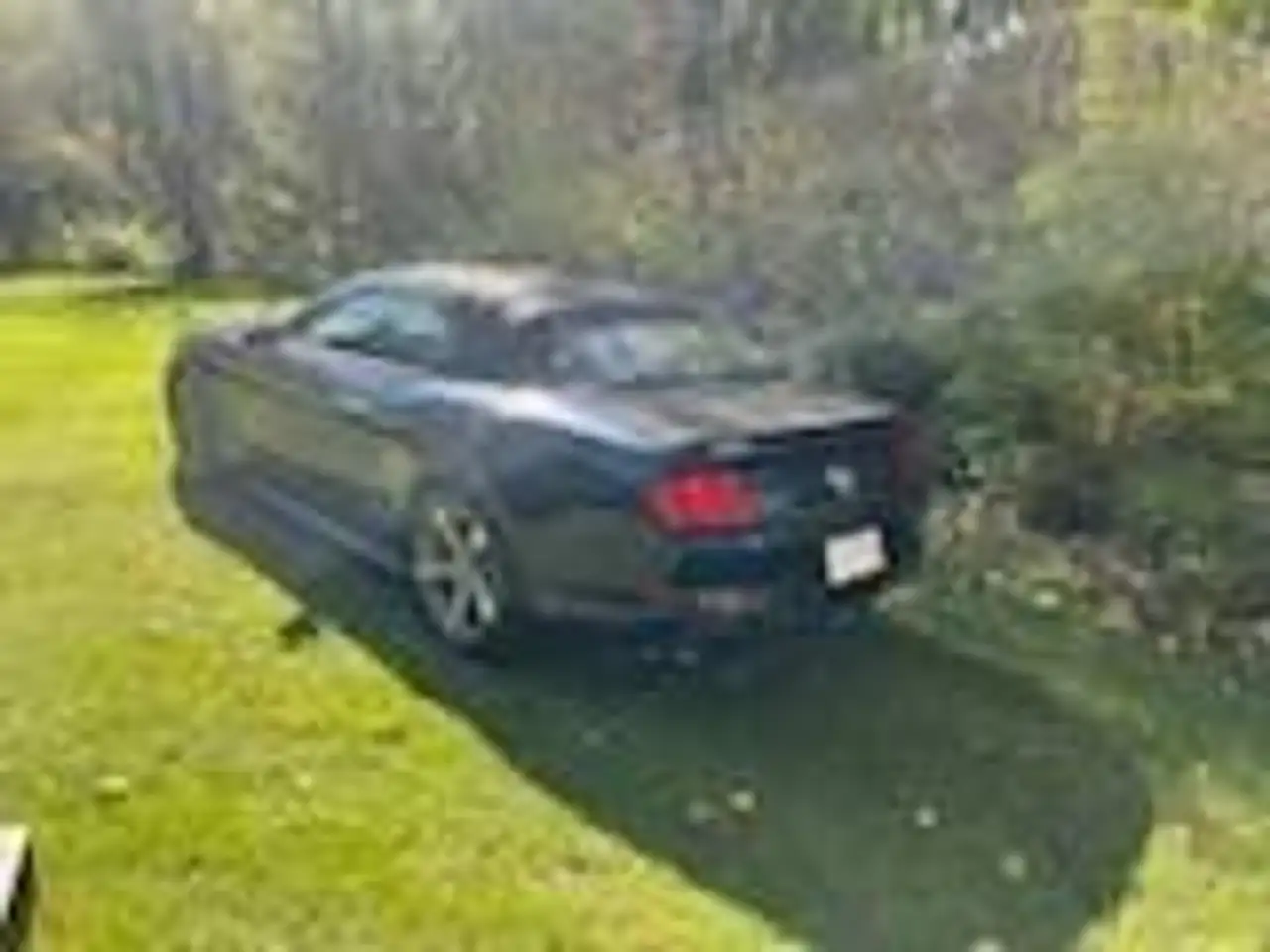 Ford Mustang fotografie Ford Mustang
