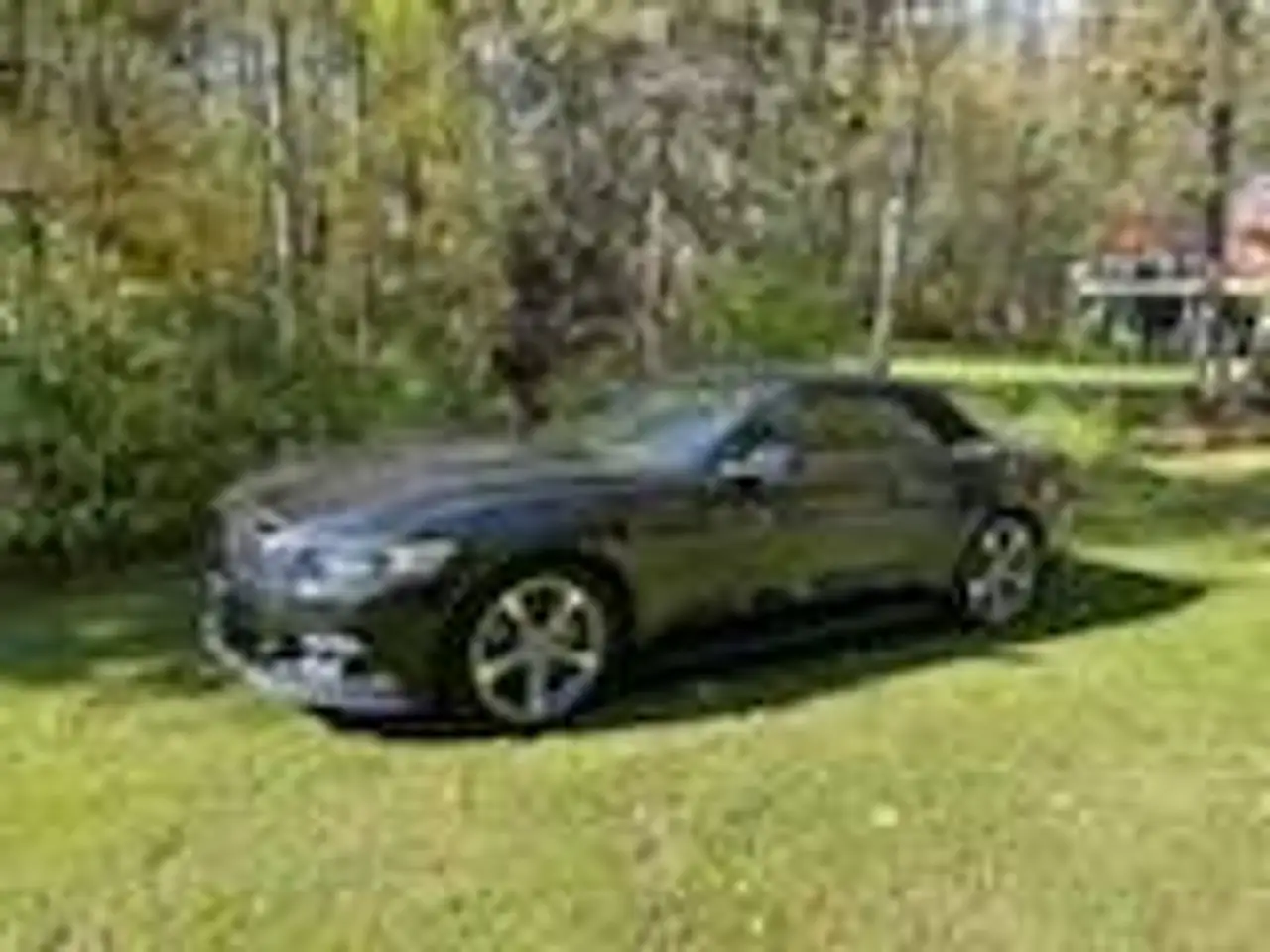 Ford Mustang fotografie Ford Mustang