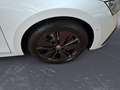 Skoda Octavia Combi 1.4 TSI iV DSG RS *LED*HEAD-UP*CAR Weiß - thumbnail 11
