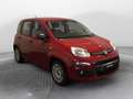 Fiat Panda 1.2 Easy 69cv E6 Rosso - thumbnail 3