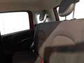 Fiat Panda 1.2 Easy 69cv E6 Rosso - thumbnail 10