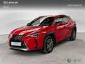 Lexus UX 200 SUV BUSINESS (EV-2WD) Eléctrico (204CV) Transmis Rojo - thumbnail 1