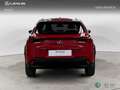 Lexus UX 200 SUV BUSINESS (EV-2WD) Eléctrico (204CV) Transmis Rojo - thumbnail 4