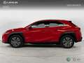 Lexus UX 200 SUV BUSINESS (EV-2WD) Eléctrico (204CV) Transmis Rojo - thumbnail 3