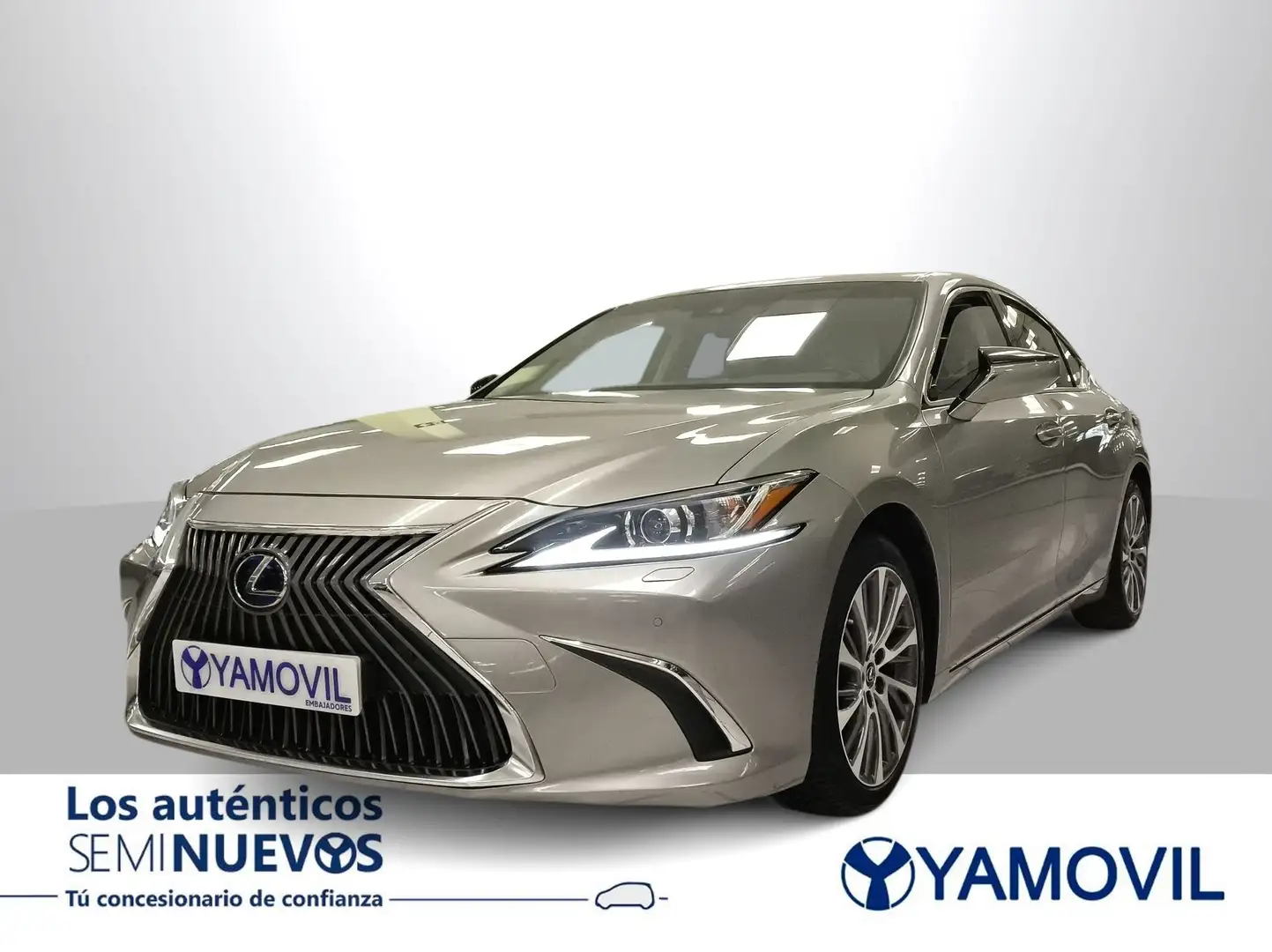 Lexus ES 300 300h Business Grau - 1