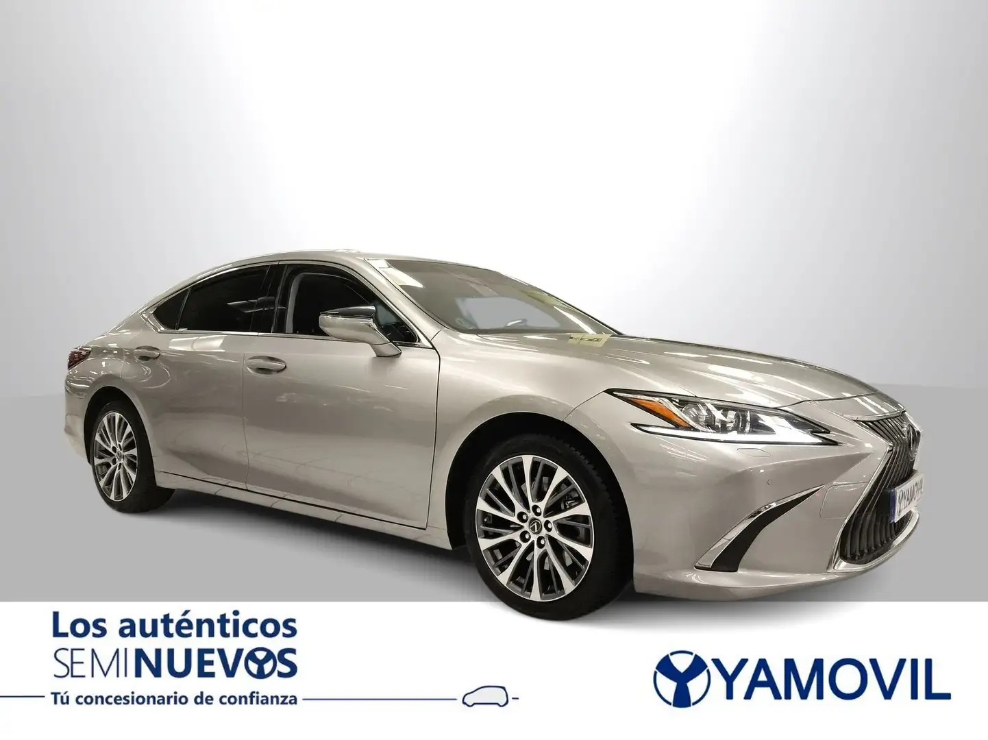 Lexus ES 300 300h Business Gri - 2