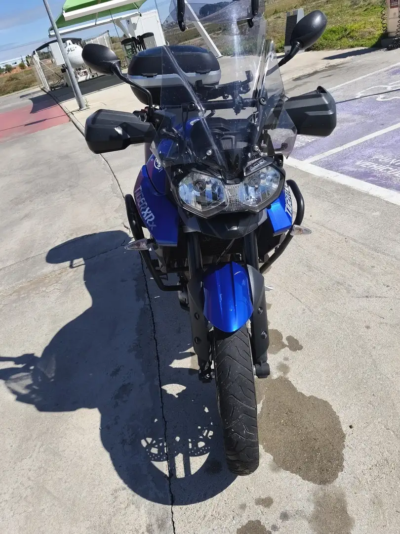 Triumph Tiger 800 - 1