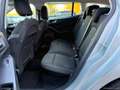 Ford Focus 1.5 EcoBlue 120CV aut. SW Active X Gris - thumbnail 8