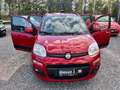 Fiat Panda 1,2 69 *Lounge* Rot - thumbnail 3