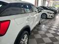 Audi Q2 35 1.5 tfsi Business Advanced s-tronic Blanc - thumbnail 38