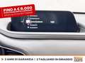 Mazda CX-30 2.0 m-hybrid executive appearance pack 2wd 122cv 6 Gris - thumbnail 25