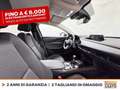 Mazda CX-30 2.0 m-hybrid executive appearance pack 2wd 122cv 6 Gris - thumbnail 7
