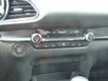 Mazda CX-30 SKYACTIV-G 122PS Automatik SELECTION+ Design-P. + Grau - thumbnail 13