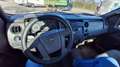 Ford F 150 - thumbnail 4