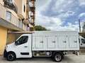 Renault Master 2.3 dCi 145Cv FRIGO SURGELATI a PIASTRE EUTETTICHE Bianco - thumbnail 7