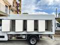 Renault Master 2.3 dCi 145Cv FRIGO SURGELATI a PIASTRE EUTETTICHE Bianco - thumbnail 10
