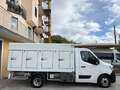 Renault Master 2.3 dCi 145Cv FRIGO SURGELATI a PIASTRE EUTETTICHE Bianco - thumbnail 5