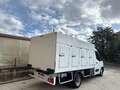 Renault Master 2.3 dCi 145Cv FRIGO SURGELATI a PIASTRE EUTETTICHE Bianco - thumbnail 2