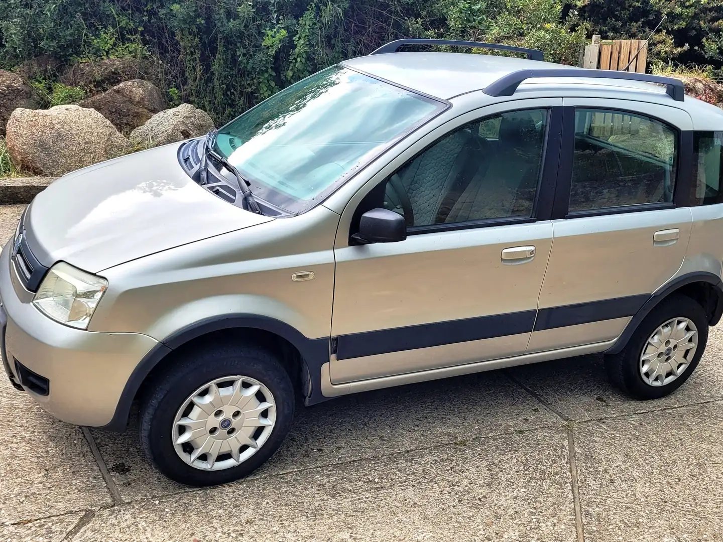 Fiat Panda Panda 1.2 Climbing 4x4 Argento - 2
