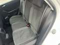Volkswagen T-Roc 1.0 TSI Style 110 CV Bianco - thumbnail 8