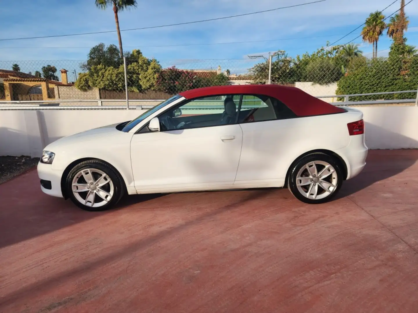 Audi A3 Cabrio 1.9TDI Attraction Blanco - 2