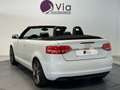 Audi Cabriolet 1.6 TDI 105 DPF S Line, Sieges chauffants Blanco - thumbnail 7