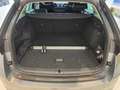 Skoda Octavia Combi Essence TSI Grau - thumbnail 28