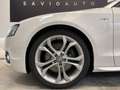 Audi S5 CABRIO CABRIOLET 3.0 V6 TFSI 333CV QUATTRO Blanco - thumbnail 13