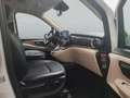 Mercedes-Benz V 300 Marco Polo V300 4M EDITION Airmatic+360°+Leder Blanc - thumbnail 10