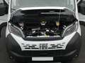 Fiat Ducato - thumbnail 5
