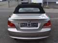 BMW 118 118i *CABRIO*SITZHZ*KLIMA*LEDER*STEUERKETTE NEU Grau - thumbnail 5