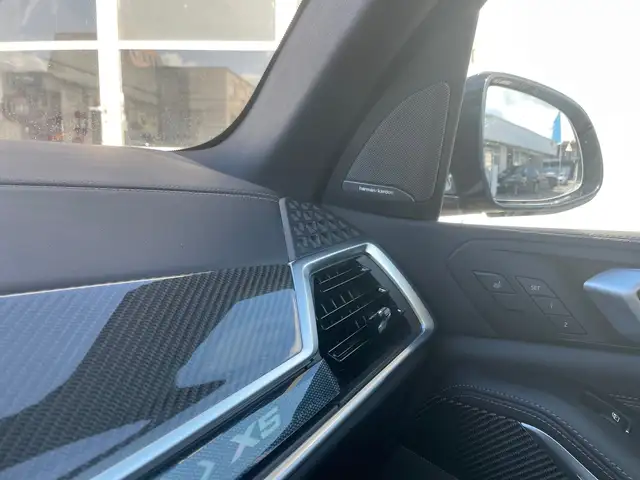 BMW X5 view 15