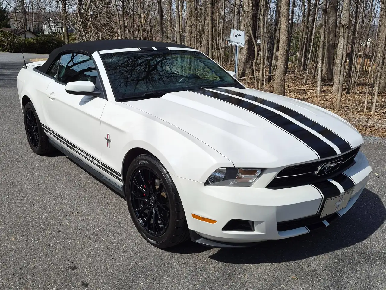 Ford Mustang fotografie Ford Mustang