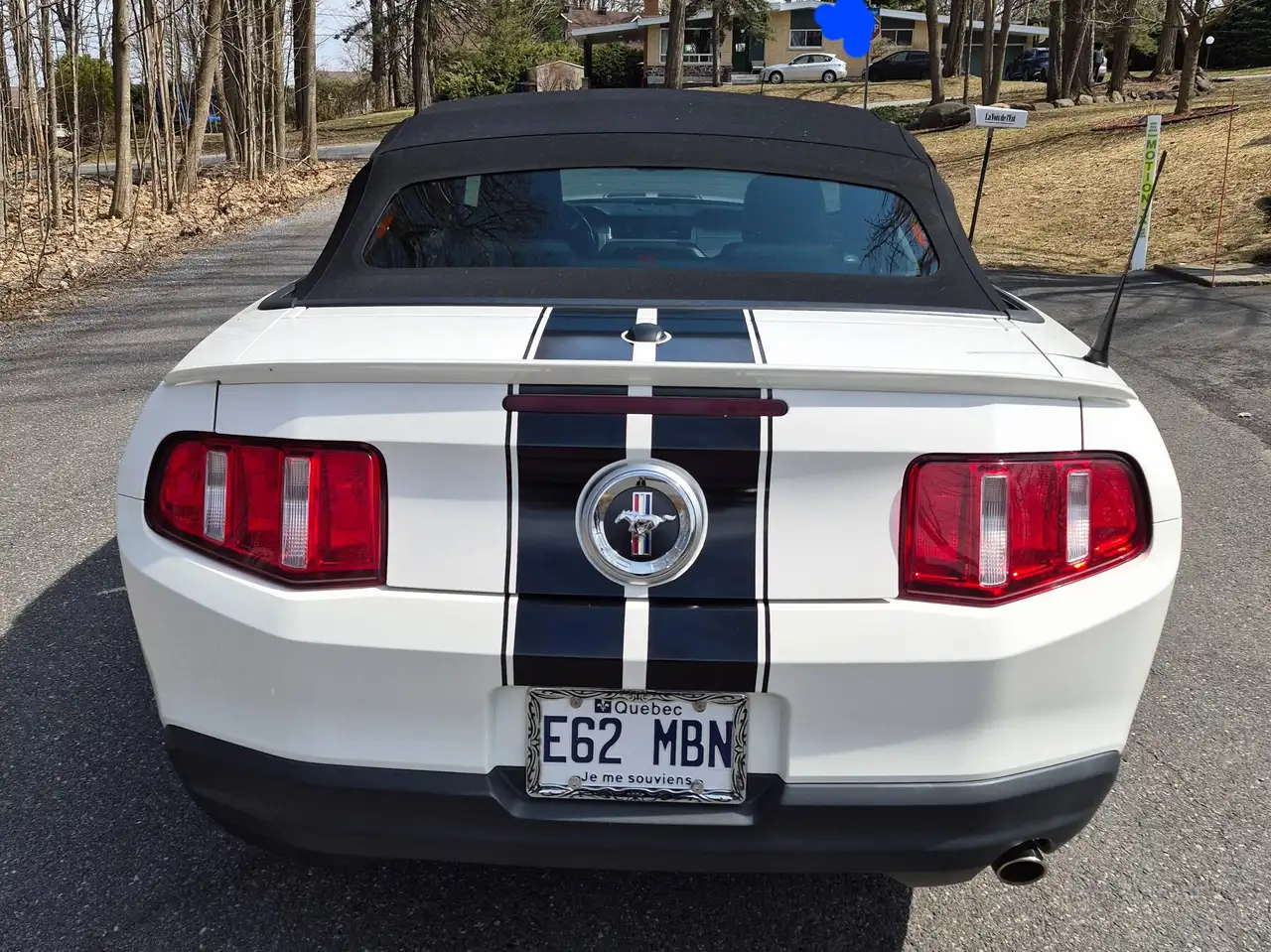 Ford Mustang fotografie Ford Mustang