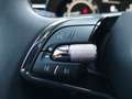 Skoda Kamiq 1.0 tsi Black Dots 95cv Blu/Azzurro - thumbnail 21