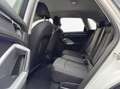 Audi Q3 2.0 150cv  Business Advanced s-tronic TUA A 527 MENSILE Bianco - thumbnail 11
