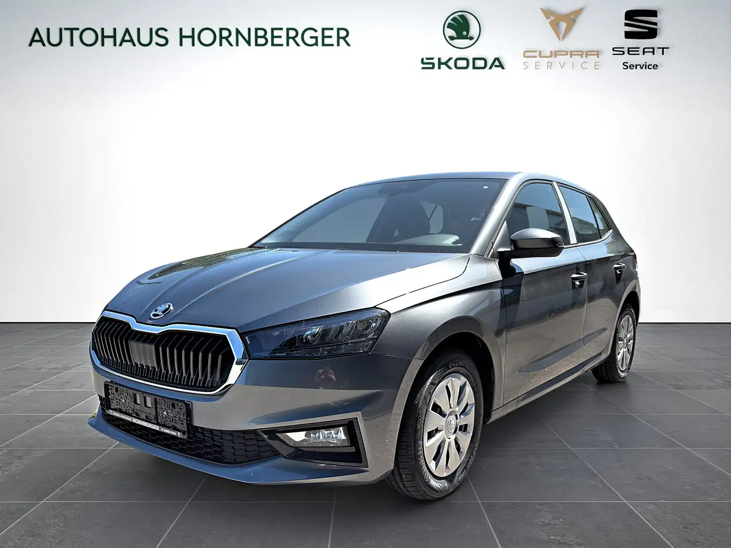 Skoda Fabia 1.0TSI Sondermodell 130Jahre (Essence) Sitzheizung Grau - 1