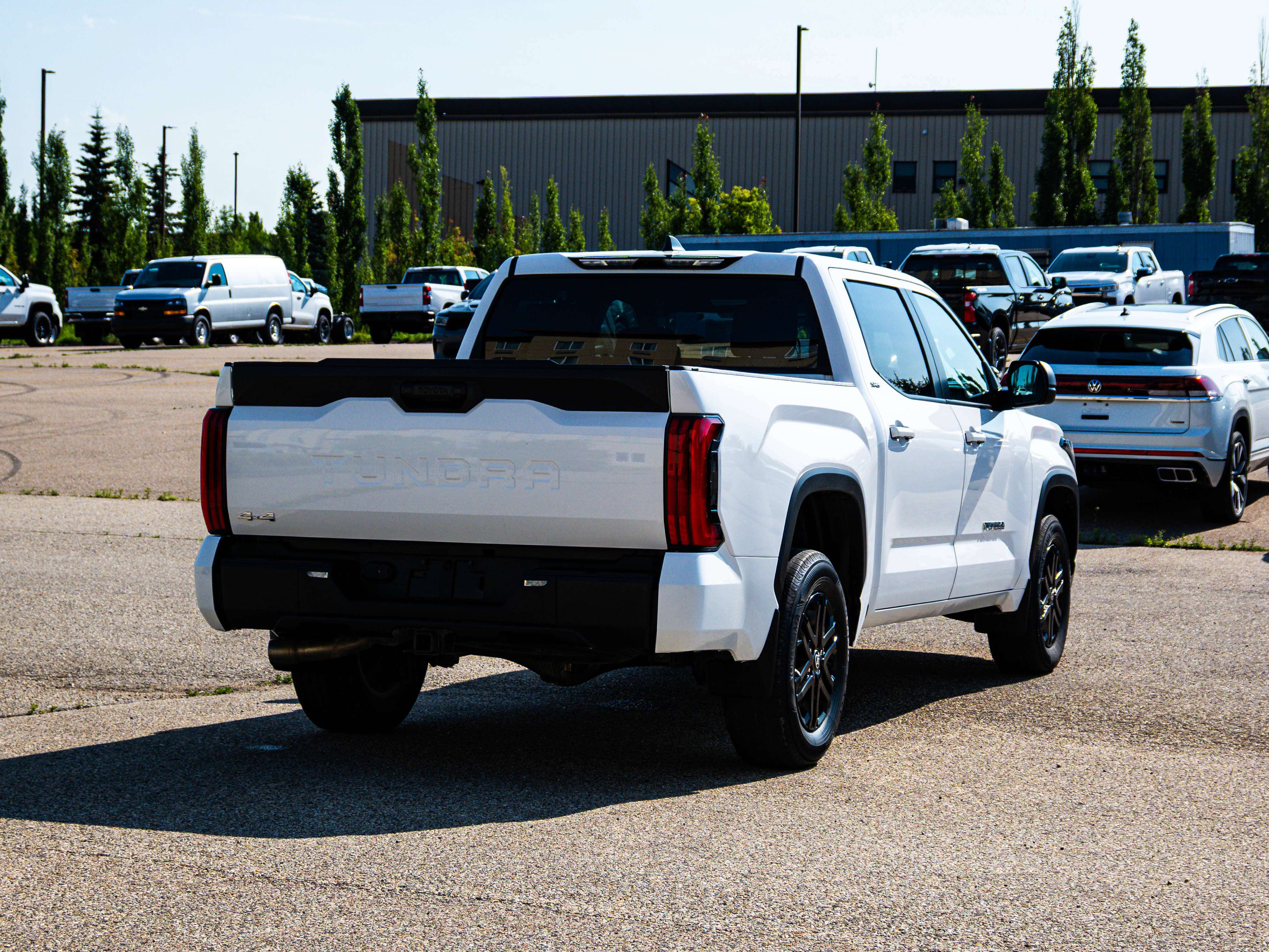 Image 12