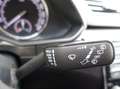 Skoda Superb Kombi 1,6 TDI Ambition Gris - thumbnail 16