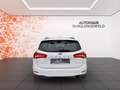 Ford Focus Turnier Trend ! LRH ! beh. WSS ! Blanc - thumbnail 6