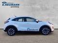 Ford Puma Titanium*LED*WINTER-PAKET*GJR* Weiß - thumbnail 1